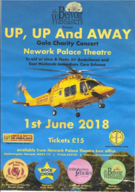 Up Up and Away — EMICS fundraising event